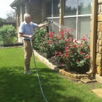 Don waters the rose bushes at Tiffin House Assisted Living and Memory Care