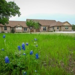 Some Central Texas bluebonnets in front of Tiffin House